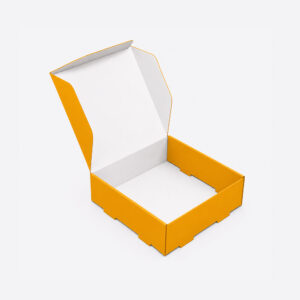 Double Locked Wall Lid Boxes