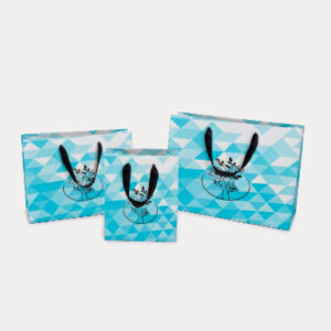 Custom Paper Bags With Handles