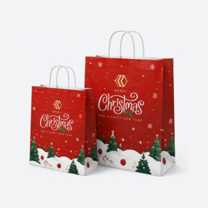 Christmas Paper Bags